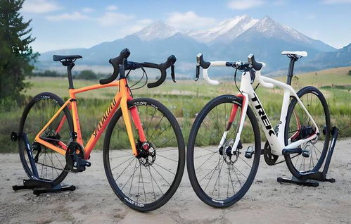 2025自行車行業(yè)報(bào)告評(píng)測(cè) 閃電崔克梅花捷安特喜德盛品牌檔次