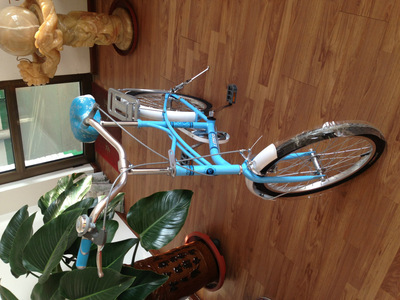 【天津市濮琪自行車】?jī)r(jià)格,廠家,圖片,自行車,天津市濮琪自行車-