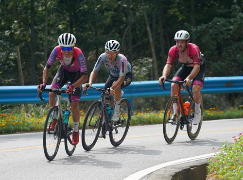 自行車 環(huán)鄱陽(yáng)湖國(guó)際自行車大賽進(jìn)行第五賽段的比賽