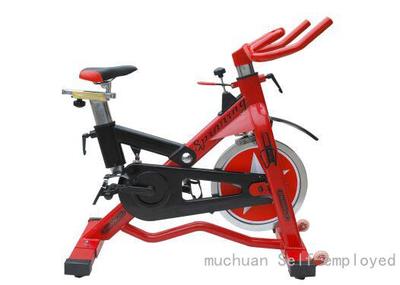 家用健身房用經(jīng)濟(jì)型動(dòng)感單車廠家直銷圖片_高清圖_細(xì)節(jié)圖-muchuan Self-employed -