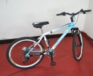 供應(yīng)26式自行車(chē)價(jià)格_供應(yīng)26式自行車(chē)廠家_世界工廠網(wǎng)產(chǎn)品信息庫(kù)