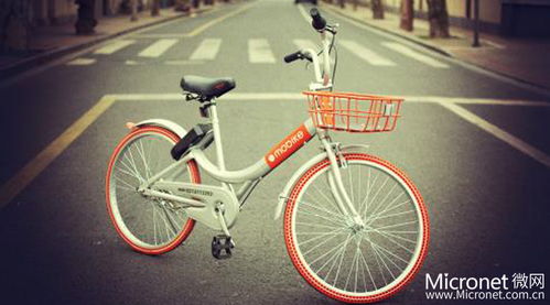 共享快遞盒 綠色物流新革命，一年可省下46個小興安嶺的木材資源