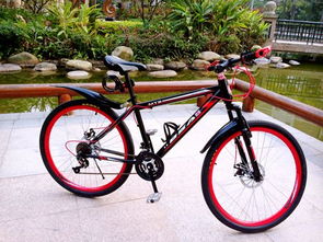 自行車尺寸解讀 XS、S、M、L 的意義及其在電動自行車制造中的應(yīng)用